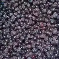 IQF Frozen Blueberry New Season Now