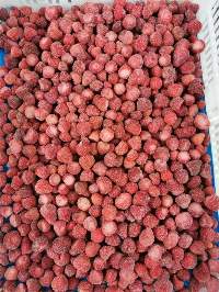 IQF Frozen Strawberry Am13 New Season