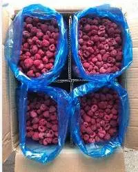 IQF Frozen Raspberry