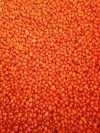 IQF Frozen Sea Buckthorn