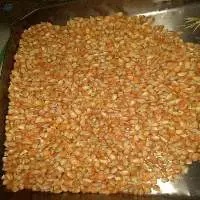 Dry Yellow Corn, White Corn Feed Grade