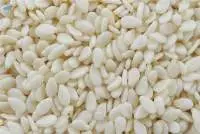 Sesame Seeds