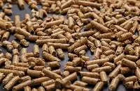 Wood Pellet