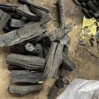 Mangrove Charcoal