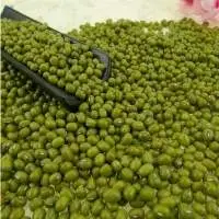 New Crop Cheap Price Green Mung Beans