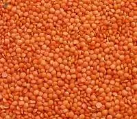 Quality Lentils (Red, Green, Brown,Yellow)