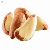 Quality Brazil Nuts Organic Nuts  