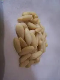 Pine Nuts For Sale At Best Price