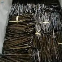 Buy Vanilla Beans