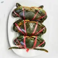 Live Fresh Mud Crab Available
