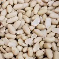 Indian Blanched Peanuts