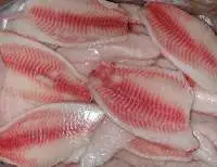 Frozen Tilapia Fillets In Bulk