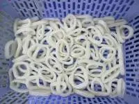 Frozen Squid Ring (Gigas/Todarodes/ Illex Squid)