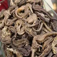 Dried Seahorse, Dried Fish Maw