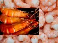 Full Organic Peeled Shrimp Prawn