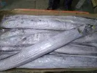 Low Price High Quality Frozen Ribbon Fish
