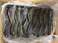 Frozen Tilapia Fish, Tilapia Fish