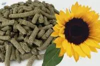 Sunflower Meal 32% Protein | Bulk Supply