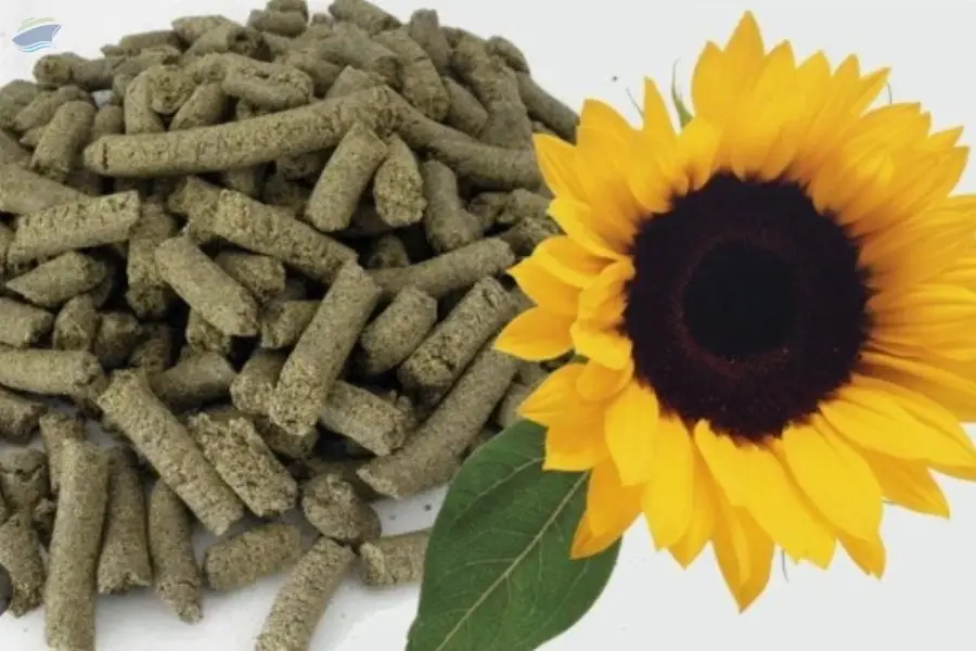 Sunflower Meal 32% Protein | Bulk Supply