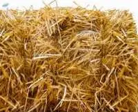 Wheat Straw Baled | Bulk Supply
