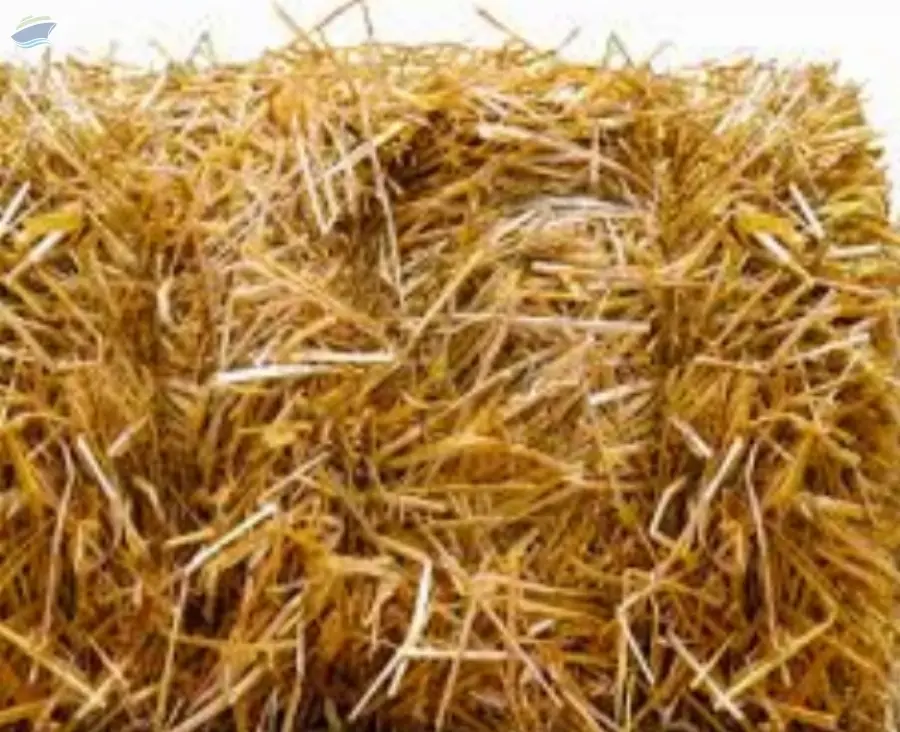 Wheat Straw Baled | Bulk Supply