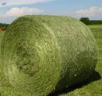 Grass Silage Premium Quality | Bulk Supply
