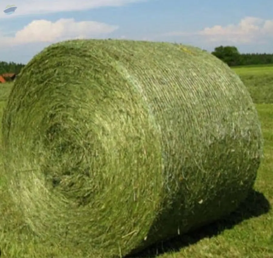 Grass Silage Premium Quality | Bulk Supply