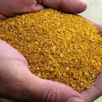 DDGS 28% Protein | Bulk Supply