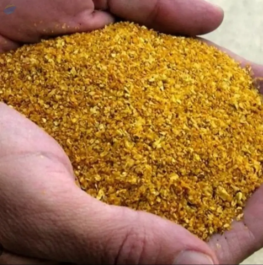 DDGS 28% Protein | Bulk Supply