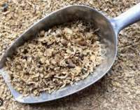 Sugar Beet Pulp Dried | Bulk Supply