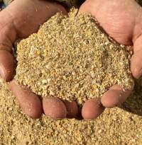 Poultry Starter Feed for Chicks | Bulk Supply