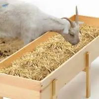 Sheep & Goat Feed Complete Nutrition