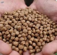 Fish Feed Pellets High Protein | Bulk Supply