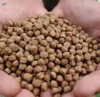Fish Feed Pellets High Protein | Bulk Supply