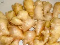 Fresh Ginger Premium Export Quality