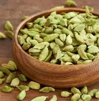Green Cardamom Premium Grade | Bulk Supply