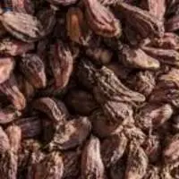 Black Cardamom Premium Grade | Bulk Supply