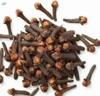 Cloves Premium Grade Whole | Bulk Supply