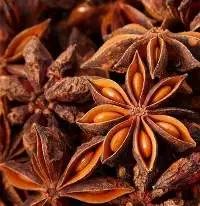 Star Anise Premium Whole Grade | Bulk Supply