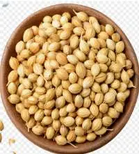 Coriander Seeds Premium Whole | Bulk Supply