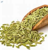 Fennel Seeds Premium Whole | Bulk Supply