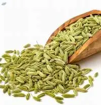 Fennel Seeds Premium Whole | Bulk Supply