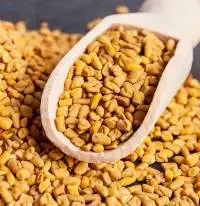 Fenugreek Seeds Premium Whole | Bulk Supply