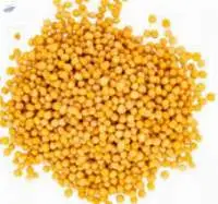 Yellow Mustard Seeds Premium Grade | Bulk Supply
