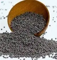 Black Mustard Seeds Premium Grade | Bulk Supply