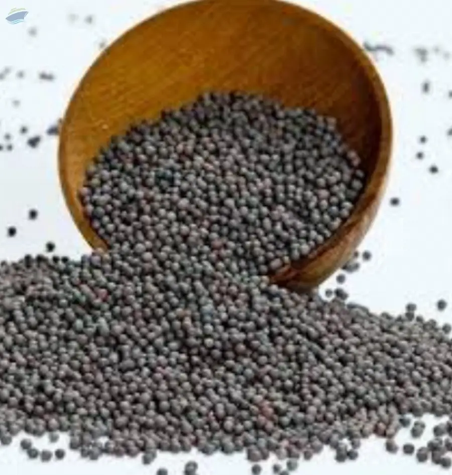 Black Mustard Seeds Premium Grade | Bulk Supply