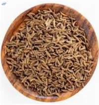 Caraway Seeds Premium Quality | Bulk Supply