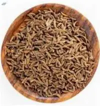 Caraway Seeds Premium Quality | Bulk Supply