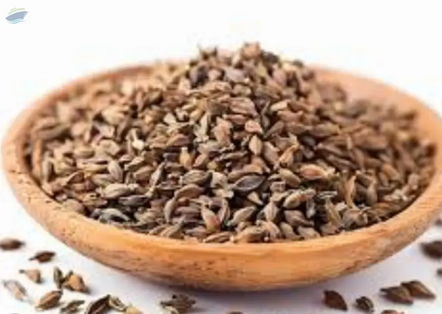 Premium Aromatic Ajwain Seeds