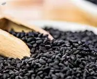 Premium Nigella Seeds (Black Seeds)